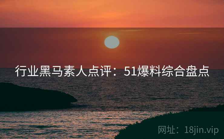 行业黑马素人点评：51爆料综合盘点