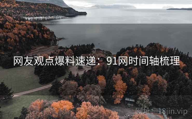网友观点爆料速递：91网时间轴梳理