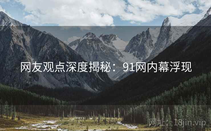 网友观点深度揭秘：91网内幕浮现