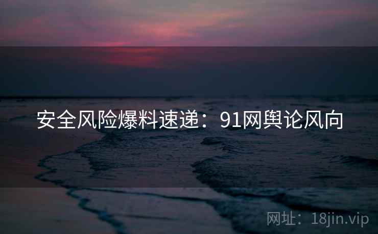 安全风险爆料速递：91网舆论风向