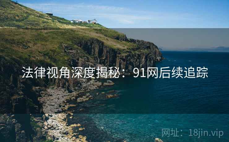 法律视角深度揭秘：91网后续追踪
